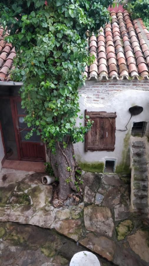 Airam Home Aragon, 7 Almansa Exteriör bild